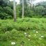  Land for sale in Selemadeg, Tabanan, Selemadeg