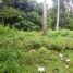  Land for sale in Selemadeg, Tabanan, Selemadeg