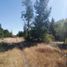  Terreno (Parcela) en venta en Biobío, Los Angeles, Biobío, Biobío