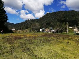  Grundstück zu verkaufen in Amanalco, Mexico, Amanalco