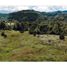 Terrain à vendre à Rionegro, Antioquia, Rionegro