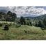 Terrain à vendre à Rionegro, Antioquia, Rionegro