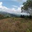 Terrain à vendre à Rionegro, Antioquia, Rionegro