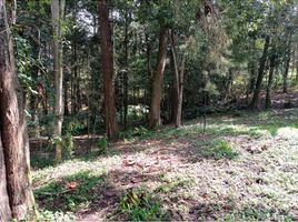 Terrain à vendre à Rionegro, Antioquia, Rionegro