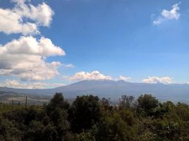 6 Schlafzimmer Haus zu verkaufen in Ruminahui, Pichincha, Sangolqui