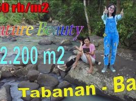  Land for sale in Selemadeg, Tabanan, Selemadeg