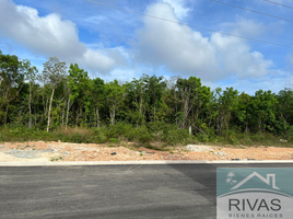 Terrain à vendre à Cancun, Quintana Roo, Cancun