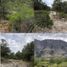  Terreno (Parcela) en venta en Arteaga, Coahuila, Arteaga