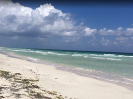  Terreno (Parcela) en venta en Othon P Blanco, Quintana Roo, Othon P Blanco
