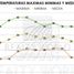  Land for sale in Hopelchen, Campeche, Hopelchen