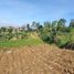  Land for sale in Bumiaji, Malang Regency, Bumiaji