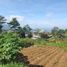  Land for sale in Bumiaji, Malang Regency, Bumiaji