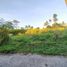  Land for sale in Ngemplak, Sleman, Ngemplak