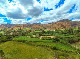 Grundstück zu verkaufen in Vilcabamba Victoria, Loja, Vilcabamba Victoria, Loja