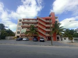 3 Schlafzimmer Appartement zu verkaufen in Chicxulub Pueblo, Yucatan, Chicxulub Pueblo