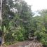 Studio House for sale in Champoton, Campeche, Champoton, Campeche