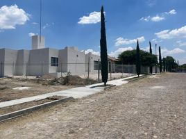  Grundstück zu verkaufen in Allende, Guanajuato, Allende