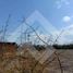  Terreno (Parcela) en venta en Chacabuco, Santiago, Colina, Chacabuco
