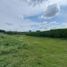  Land for sale in Cali, Valle Del Cauca, Cali