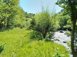  Land for sale in Chile, Curarrehue, Cautin, Araucania, Chile