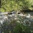 Land for sale in Chile, Curarrehue, Cautin, Araucania, Chile