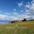  Terreno (Parcela) en venta en Los Lagos, Valdivia, Los Lagos