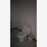 300 SqM Office for rent in Coahuila, Torreon, Coahuila