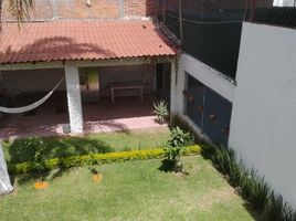  토지을(를) Irapuato, 구아나후토에서 판매합니다., Irapuato