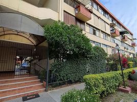 3 Habitación Apartamento en venta en San Jode de Maipo, Cordillera, San Jode de Maipo