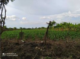  Terreno (Parcela) en venta en Aguachica, Cesar, Aguachica