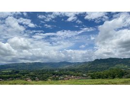  Land for sale in Caldas, Manizales, Caldas