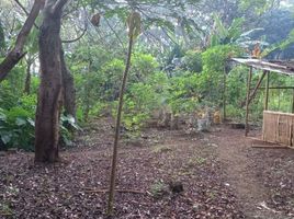  Terreno (Parcela) en venta en Sawangan, West Jawa, Sawangan