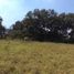 在Ciudad Madero, Tamaulipas出租的 土地, Ciudad Madero