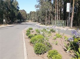  Terreno (Parcela) en venta en Valparaíso, Quintero, Valparaíso, Valparaíso