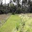  Land for sale in Tampak Siring, Gianyar, Tampak Siring