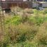  Terreno (Parcela) en venta en Tlalpan, Ciudad de México, Tlalpan