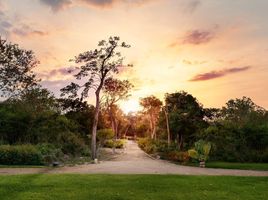  Terreno (Parcela) en venta en Merida, Yucatán, Merida