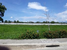  Land for sale in Muntinlupa City, Metro Manila, Muntinlupa City