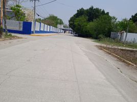  Terrain for sale in Ciudad Valles, San Luis Potosi, Ciudad Valles