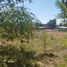  Land for rent in Guerrero, Chihuahua, Guerrero