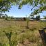  Land for rent in Guerrero, Chihuahua, Guerrero
