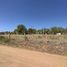  Land for rent in Guerrero, Chihuahua, Guerrero