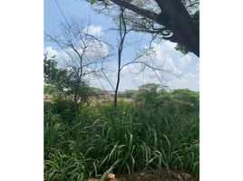  Land for sale in Candelaria, Valle Del Cauca, Candelaria