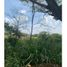  Land for sale in Candelaria, Valle Del Cauca, Candelaria