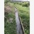  Land for sale in Jalcomulco, Veracruz, Jalcomulco