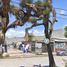  Grundstück zu vermieten in San Luis Potosi, San Luis Potosi, San Luis Potosi, San Luis Potosi
