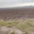  Land for sale in Reynosa, Tamaulipas, Reynosa