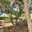  Terreno (Parcela) en venta en Sucre, Tolu, Sucre