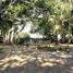  Terreno (Parcela) en venta en Sucre, Tolu, Sucre