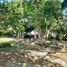  Terreno (Parcela) en venta en Sucre, Tolu, Sucre